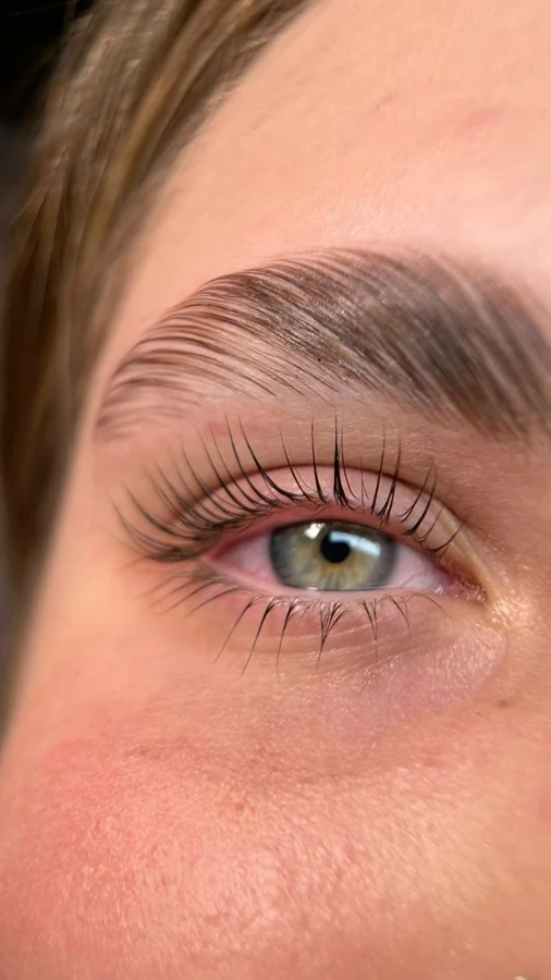 Resultado profesional de cejas y pestañas